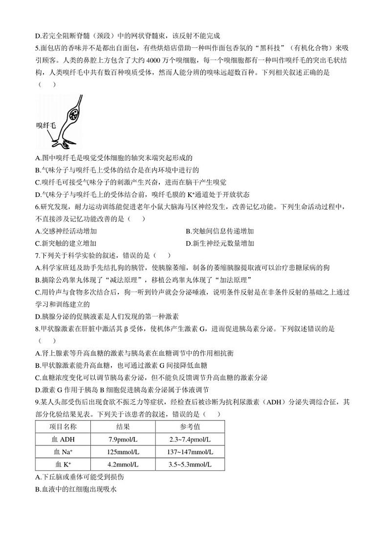 [生物]吉林省长春市第二实验中学2024～2025学年高二上学期10月月考学试题(有答案)第2页