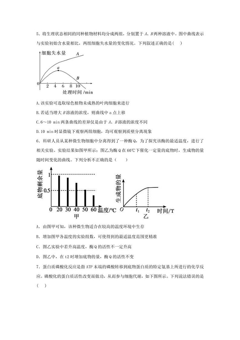[生物]江苏省宿迁市泗阳县实验高级中学2024～2025学年高三上学期第一次质量调研学月考试卷(有答案)第2页