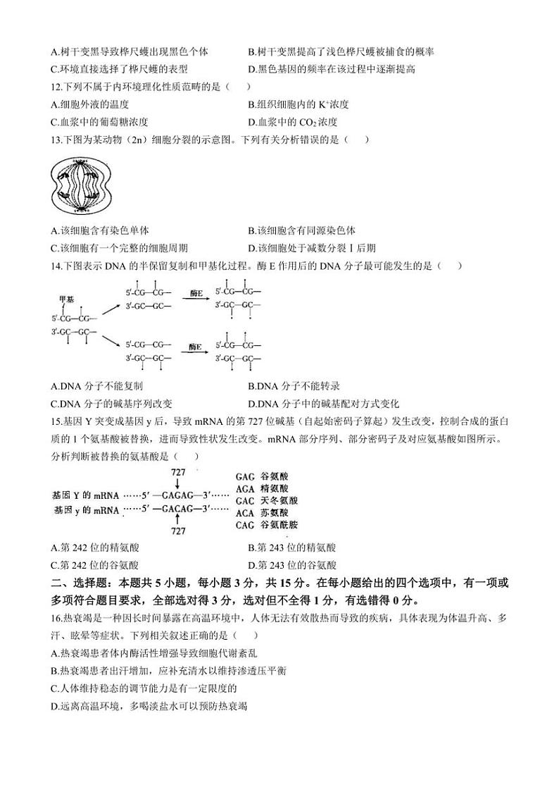 [生物]辽宁省部分名校2024～2025学年高二上学期联合质量检测学月考试题(有答案)第3页