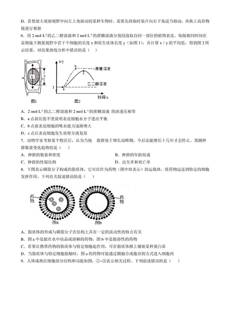[生物]辽宁省葫芦岛市长江卫生中等职业技术学校2024—2025学年度(上)高三上学期九月考试学月考试题(普高班)(有答案)第2页
