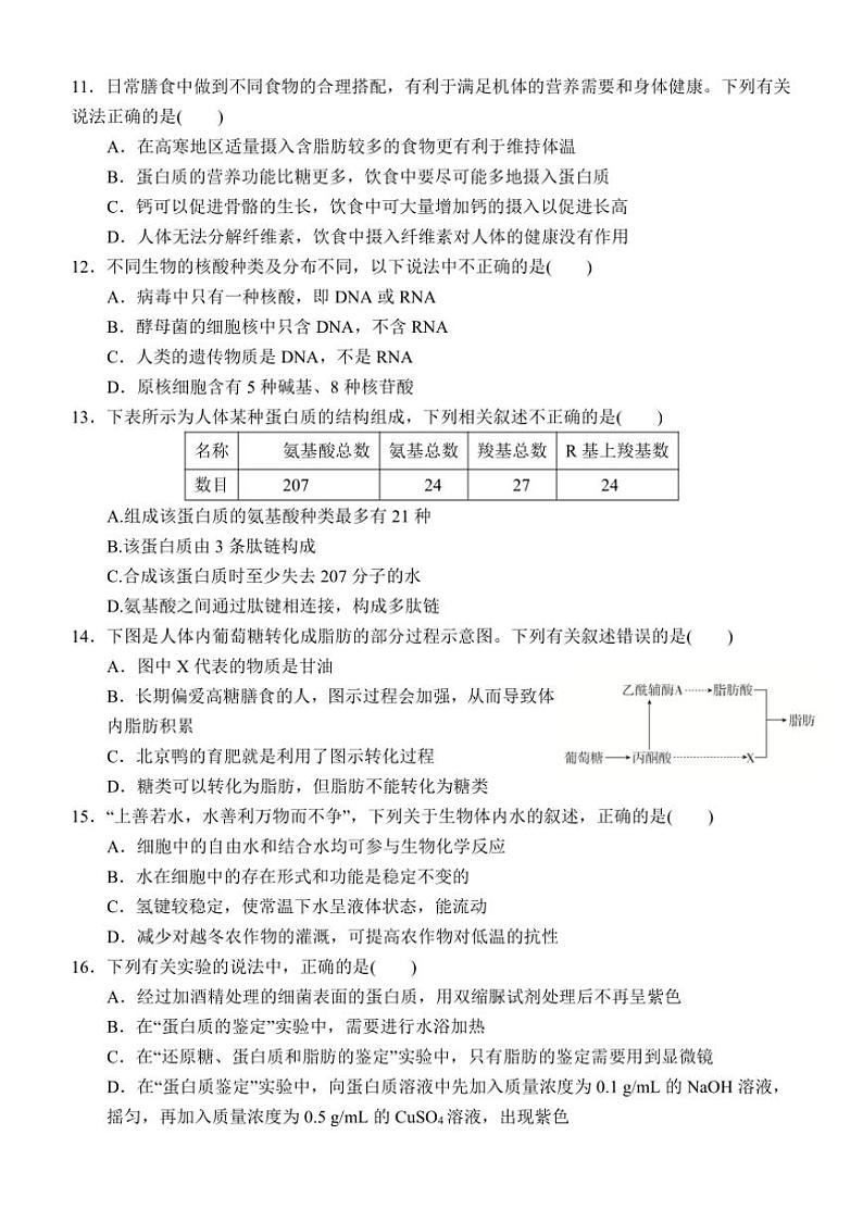 [生物]内蒙古赤峰二中2024～2025学年高一上学期10月第一次月考学试题(有答案)第3页