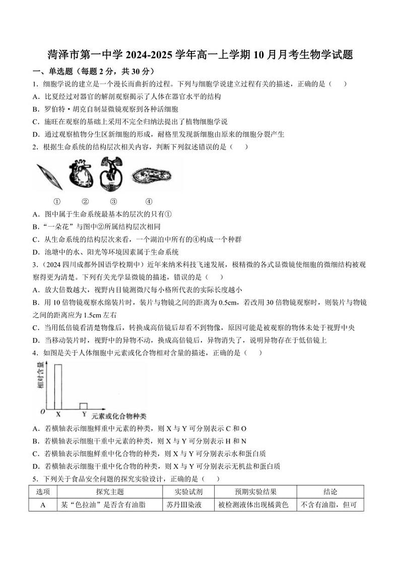 [生物]山东省菏泽市第一中学2024～2025学年高一上学期10月月考学试题(有答案)第1页