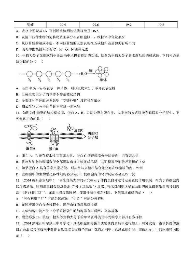 [生物]山东省菏泽市第一中学2024～2025学年高一上学期10月月考学试题(有答案)第3页