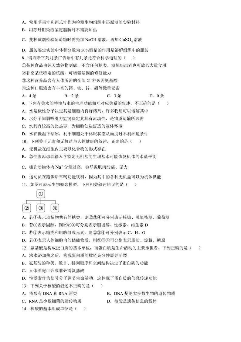 [生物]山东省菏泽市牡丹区菏泽外国语学校2024～2025学年高一上学期第一次月考学试题(有答案)第2页