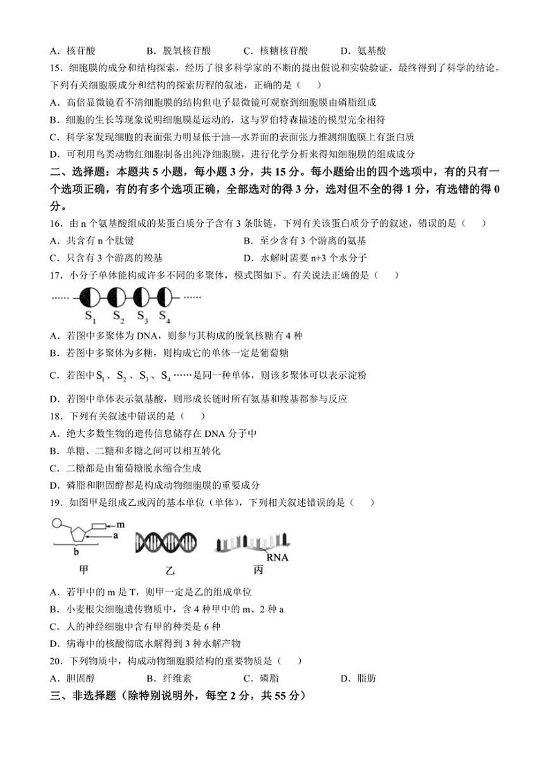 [生物]山东省菏泽市牡丹区菏泽外国语学校2024～2025学年高一上学期第一次月考学试题(有答案)第3页