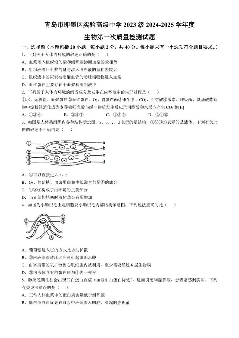 [生物]山东省青岛市即墨区实验高级中学2024～2025学年高二上学期第一次质量检测学月考试卷(有答案)第1页