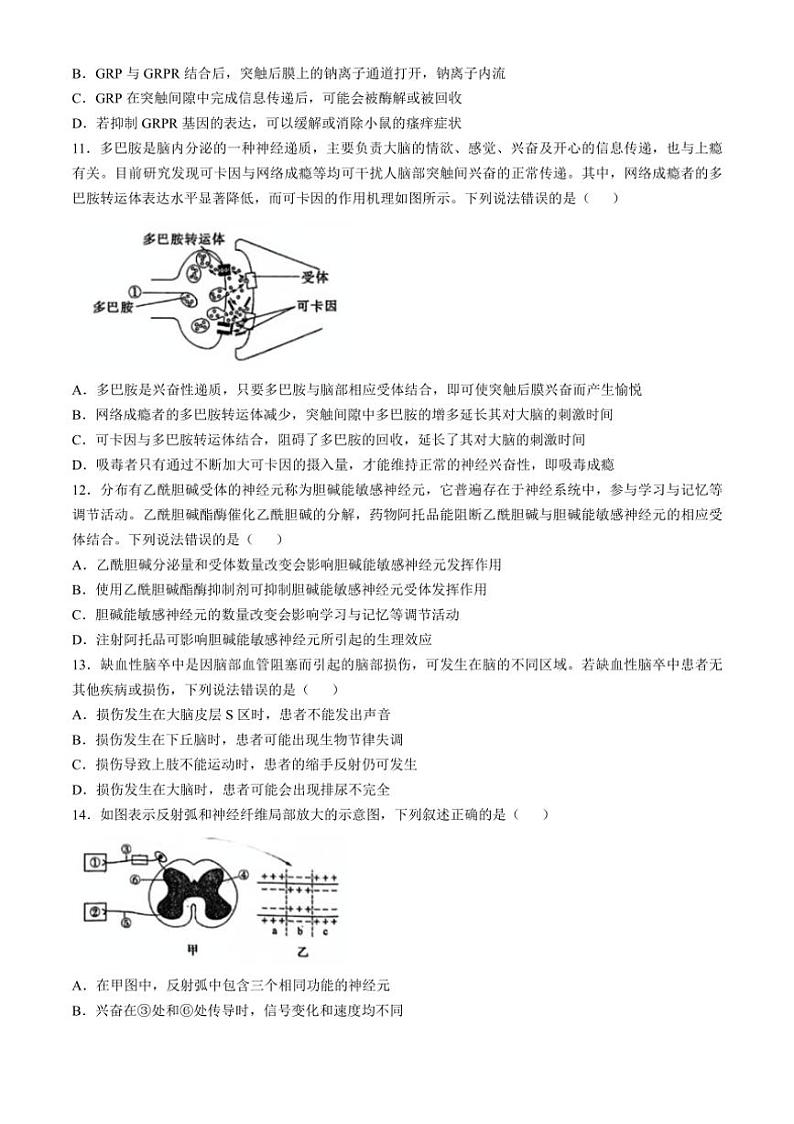 [生物]山东省青岛市即墨区实验高级中学2024～2025学年高二上学期第一次质量检测学月考试卷(有答案)第3页