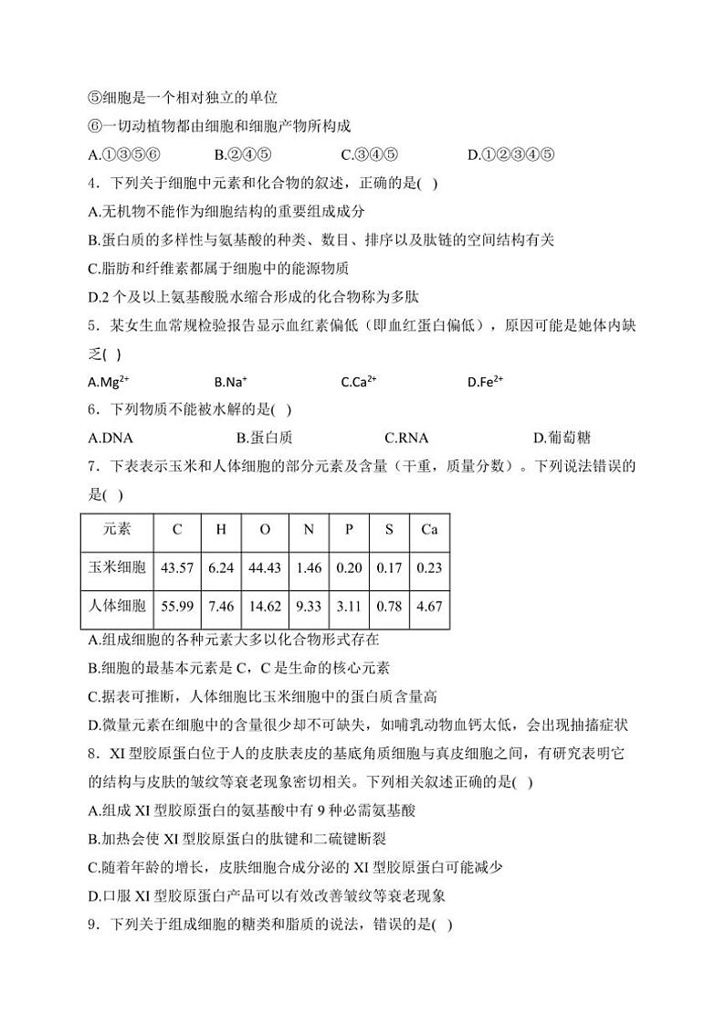 [生物]山东省泰安市肥城市肥城市慈明学校～2024～2025学年高三上学期第一次月考学试卷(有解析)第2页
