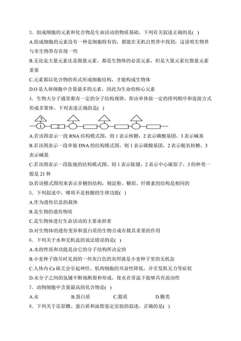 [生物]山东省泰安市肥城市肥城市慈明学校2024～2025学年高一上学期第一次月考学试卷(有解析)第2页