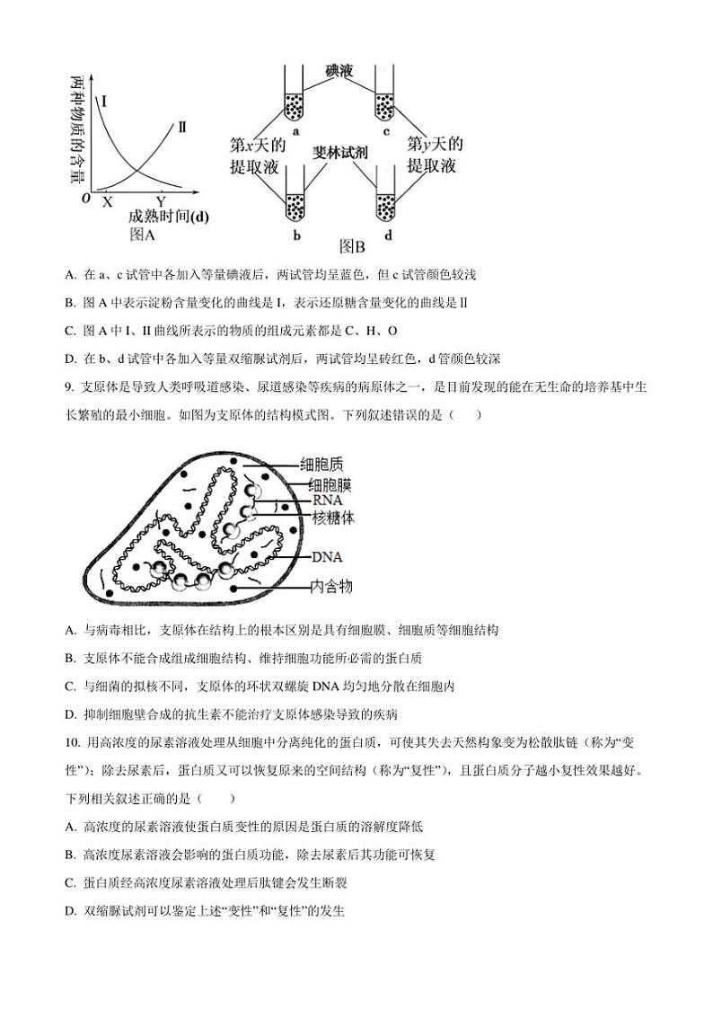 [生物]山东省淄博实验中学2024～2025学年高一上学期第一次教学诊断月考训练(有答案)第3页