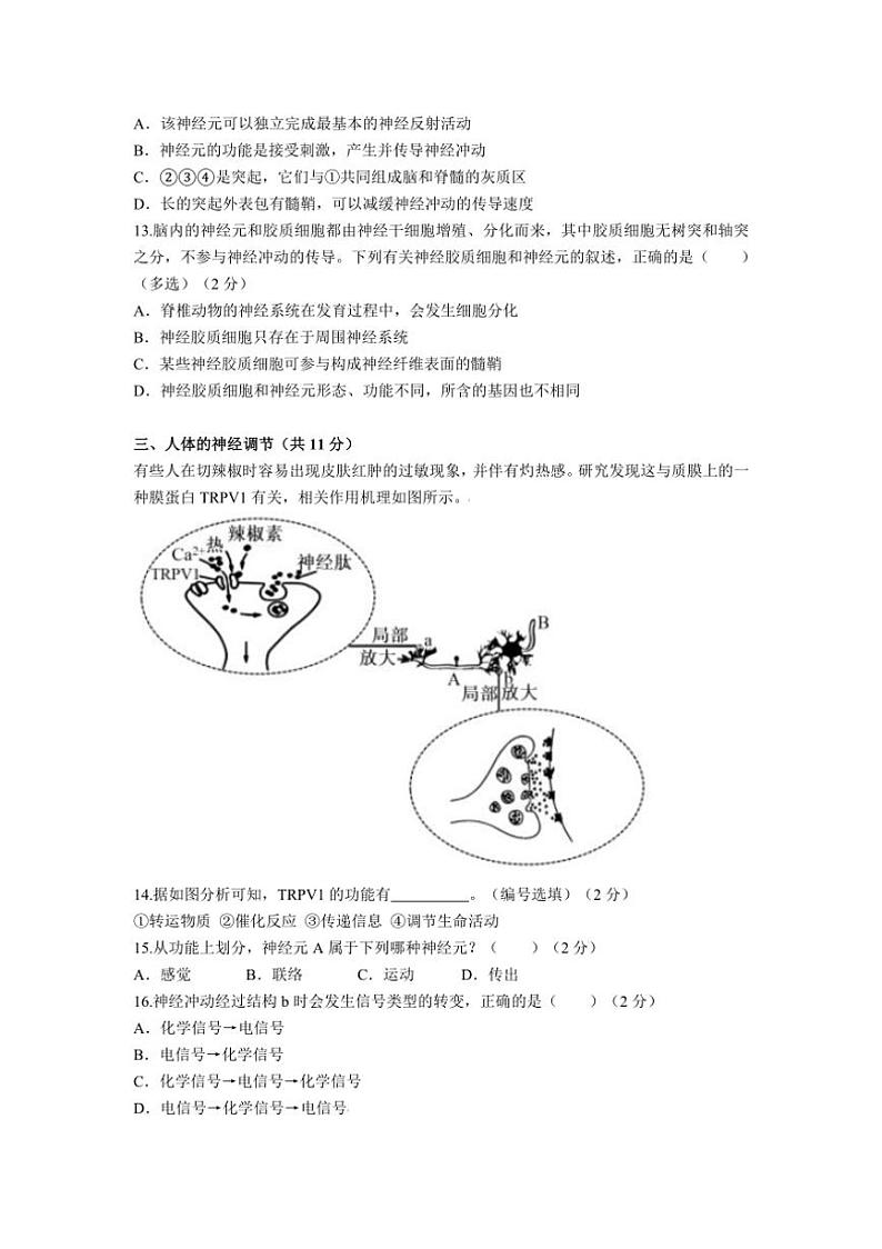 [生物]上海市松江二中2024～2025学年高二上学期第一次段测学月考试卷(有答案)第3页