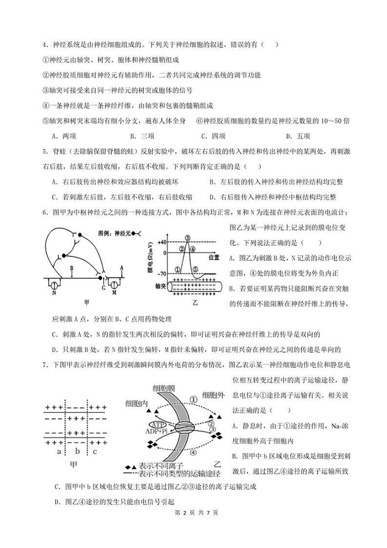 [生物]四川省南充市嘉陵第一中学2024～2025学年高二上学期10月月考试题(有答案)第3页