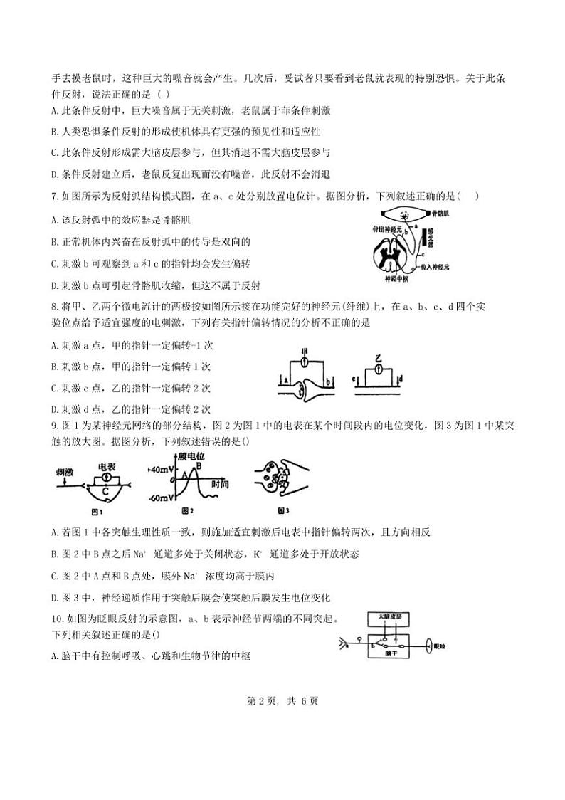 [生物]天津市河东区天津市第四十五中学2024～2025学年高二上学期10月月考学试题(有答案)第2页
