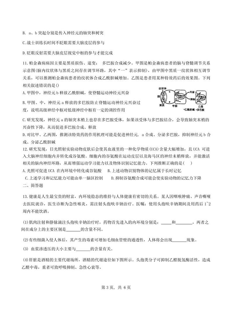 [生物]天津市河东区天津市第四十五中学2024～2025学年高二上学期10月月考学试题(有答案)第3页