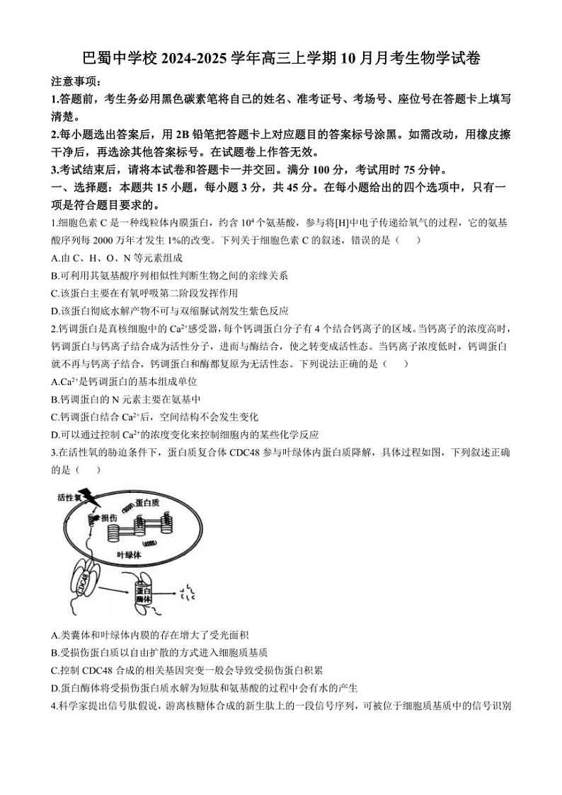 [生物]重庆市渝中区重庆市巴蜀中学校2024～2025学年高三上学期10月月考学试题(有答案)第1页