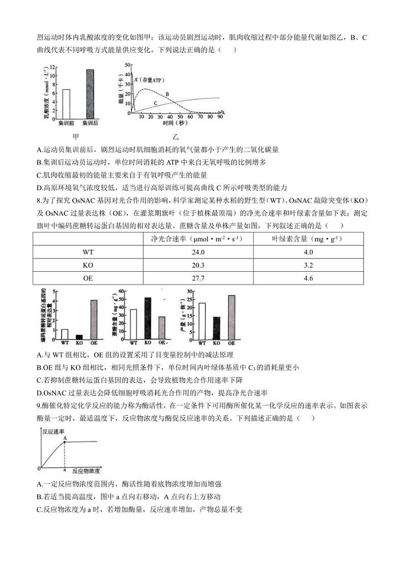 [生物]重庆市渝中区重庆市巴蜀中学校2024～2025学年高三上学期10月月考学试题(有答案)第3页