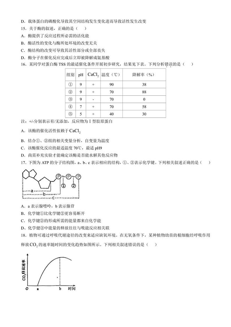 [生物]天津市滨海新区大港第八中学2024～2025学年高三上学期10月第一次月考学试题(有答案)第3页