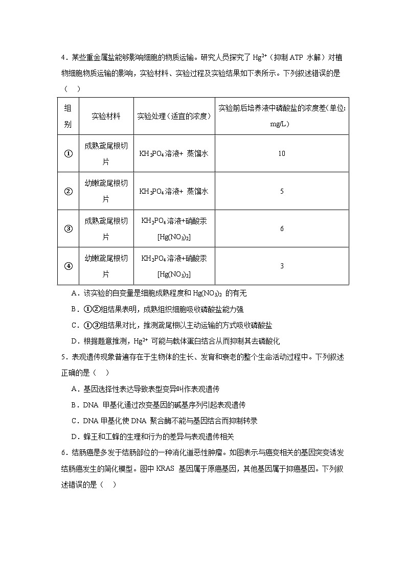 2025届云南省保山市高三模拟预测生物试题第2页
