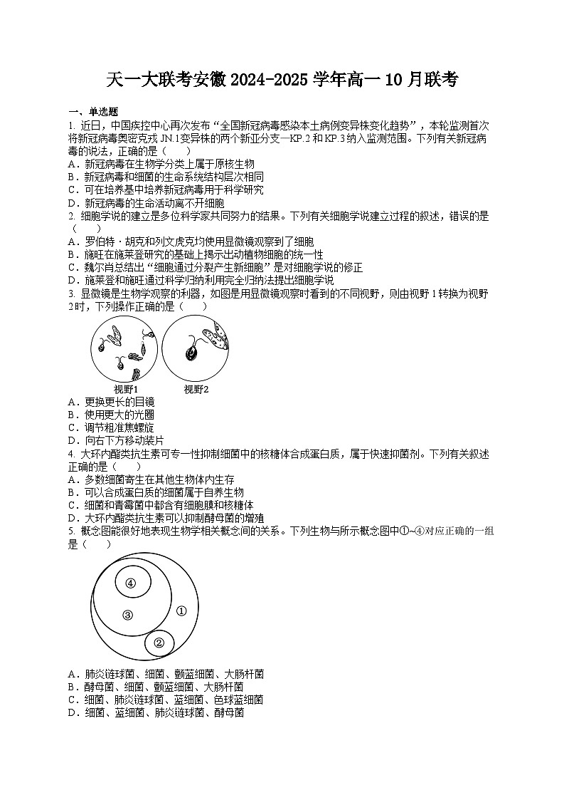 安徽省多校2024-2025学年高一上学期第一次月考生物试题01