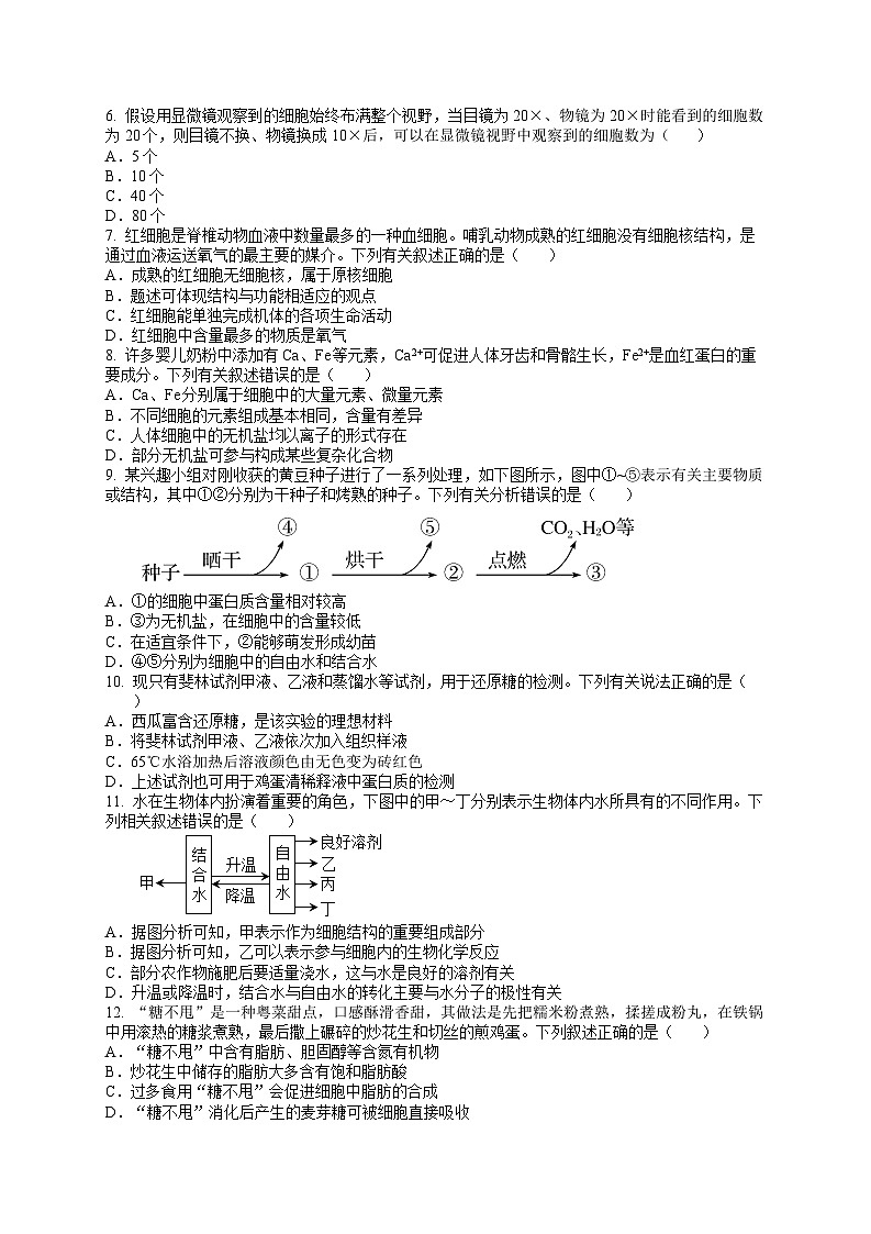 安徽省多校2024-2025学年高一上学期第一次月考生物试题02