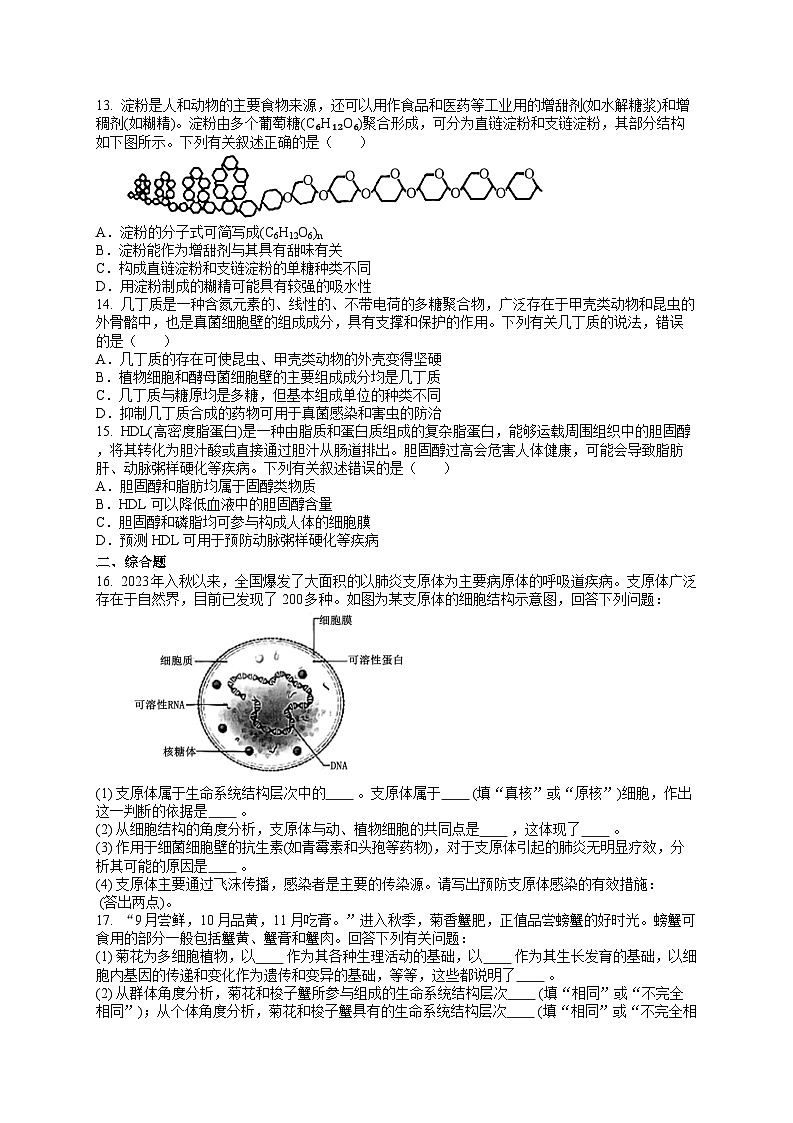 安徽省多校2024-2025学年高一上学期第一次月考生物试题03