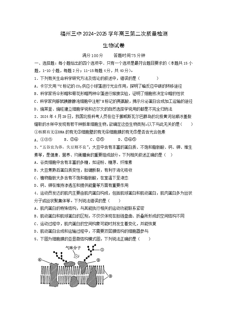 福建省福州第三中学2024-2025学年高三上学期第二次月考生物试题第1页