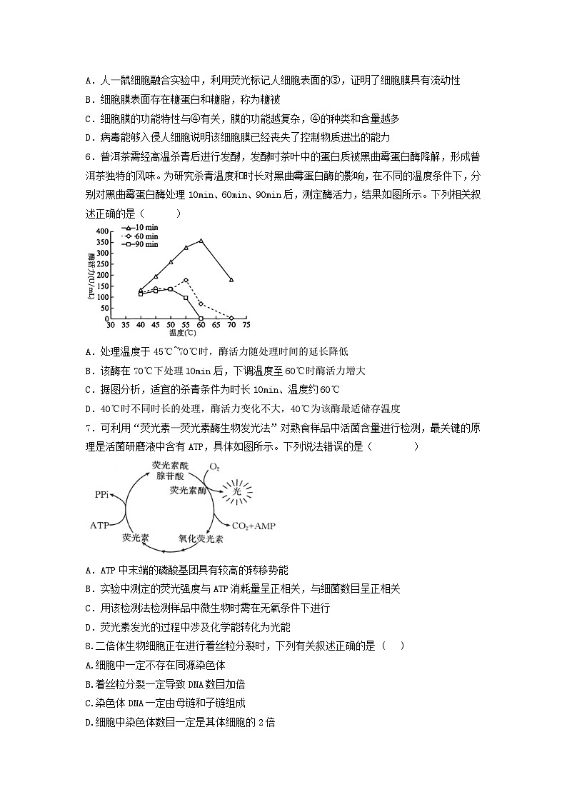 福建省福州第三中学2024-2025学年高三上学期第二次月考生物试题第2页