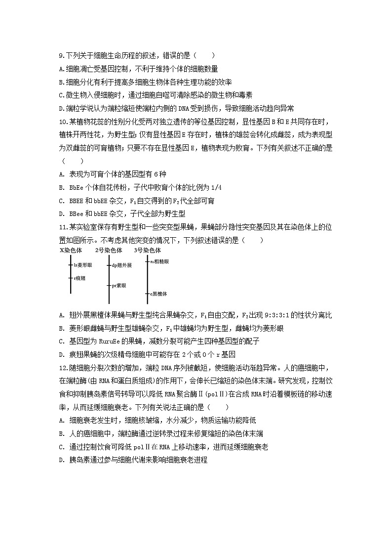 福建省福州第三中学2024-2025学年高三上学期第二次月考生物试题第3页
