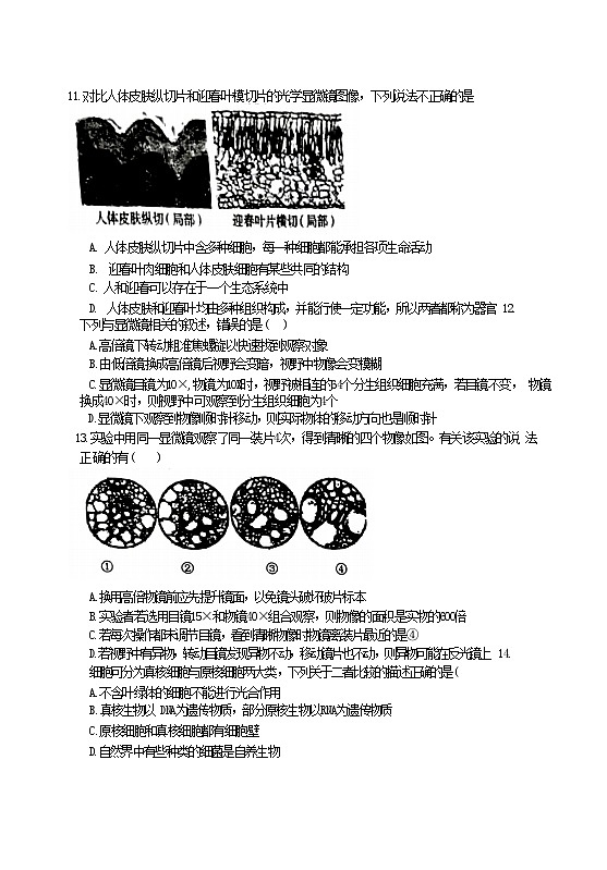 黑龙江省哈尔滨市德强高级中学2024-2025学年高一上学期9月生物学科试卷03