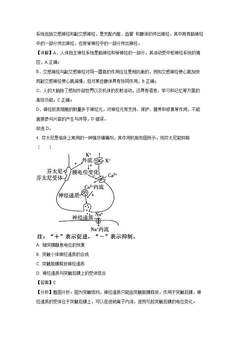 [生物]江苏省南通市某校2023-2024学年高二上学期10月质量监测试题(解析版)第3页