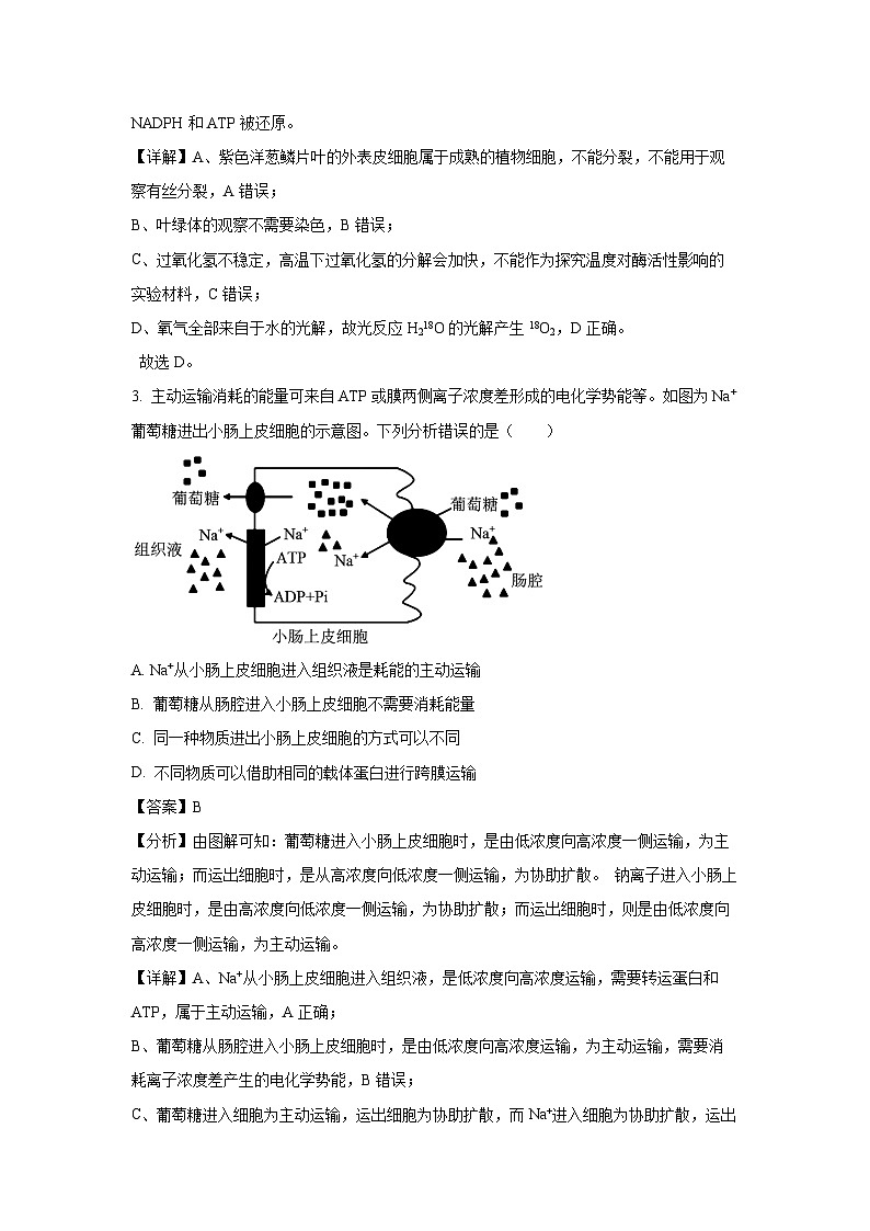 [生物][期末]云南省红河州文山州2023-2024学年高二下学期期末考试试题(解析版)第2页