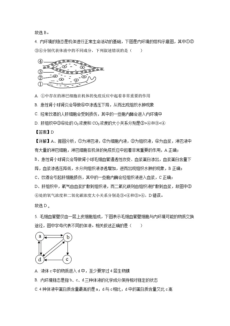 [生物]云南省玉溪市2024-2025学年高二上学期第一次月考试题(解析版)第3页
