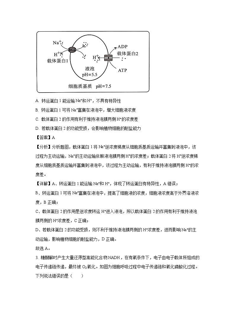 [生物][期末]云南省昭通市第一中学教研联盟2023-2024学年高二下学期期末质量检测(B卷)试题(解析版)第2页