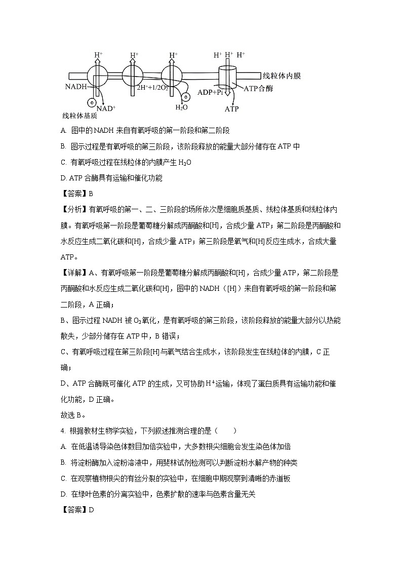 [生物][期末]云南省昭通市第一中学教研联盟2023-2024学年高二下学期期末质量检测(B卷)试题(解析版)第3页
