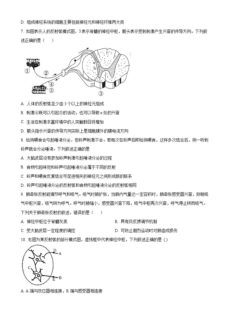 宁夏石嘴山市第一中学2024-2025学年高二上学期9月月考生物试题  Word版无答案第2页