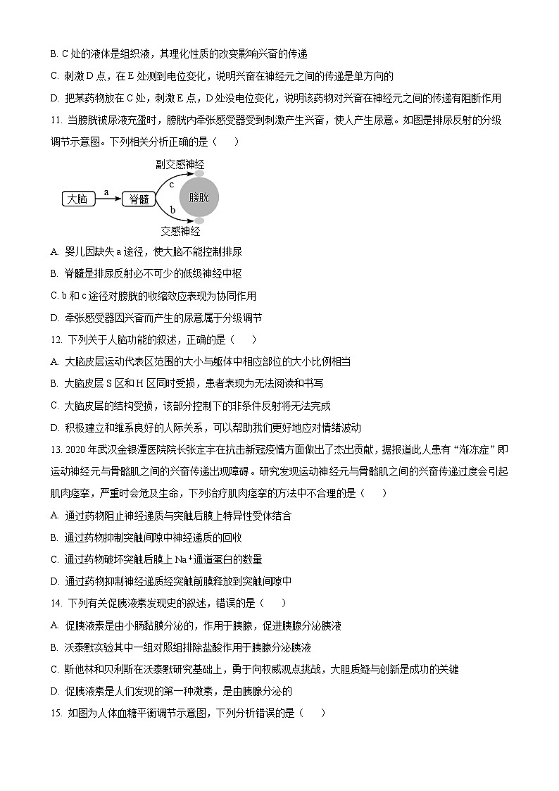 宁夏石嘴山市第一中学2024-2025学年高二上学期9月月考生物试题  Word版无答案第3页