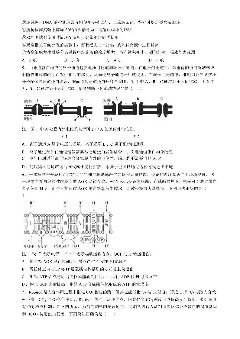 生物丨山东省山东实验中学2025届高三10月第一次诊断考试生物试卷及答案第2页