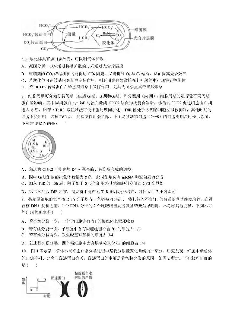 生物丨山东省山东实验中学2025届高三10月第一次诊断考试生物试卷及答案第3页
