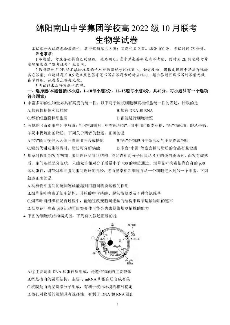 生物丨四川省绵阳市南山中学集团学校2025届高三10月联考生物试卷及答案第1页