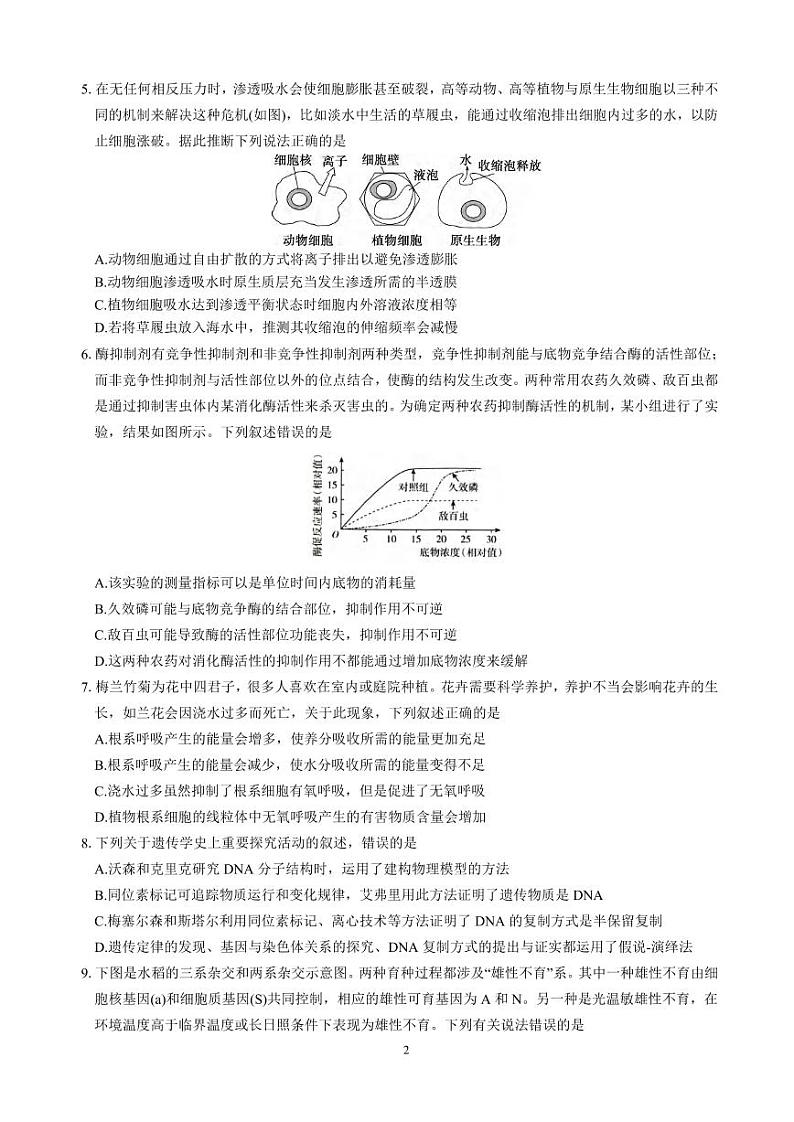 生物丨四川省绵阳市南山中学集团学校2025届高三10月联考生物试卷及答案第2页