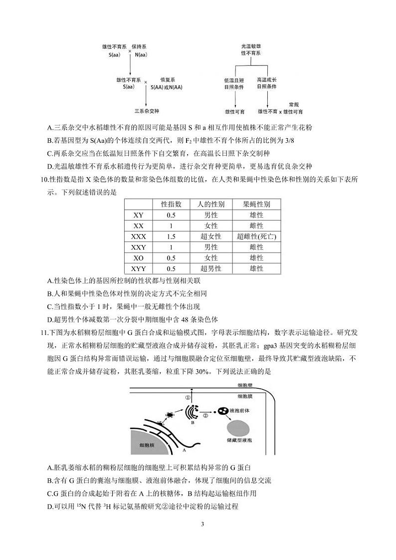 生物丨四川省绵阳市南山中学集团学校2025届高三10月联考生物试卷及答案第3页
