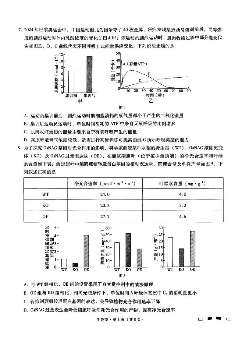 生物丨重庆市重庆巴蜀中学2025届高考适应性月考卷（二）生物试卷及答案第3页