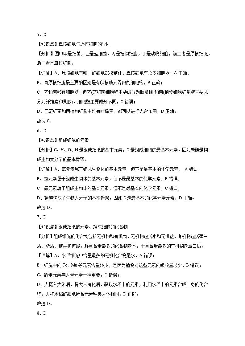 湖南省邵阳市第二中学2024-2025学年高一上学期第一次月考生物试题03