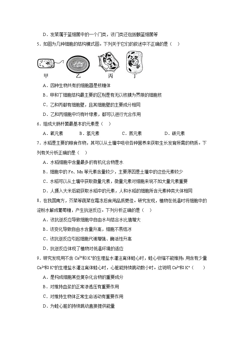 湖南省邵阳市第二中学2024-2025学年高一上学期第一次月考生物试题02