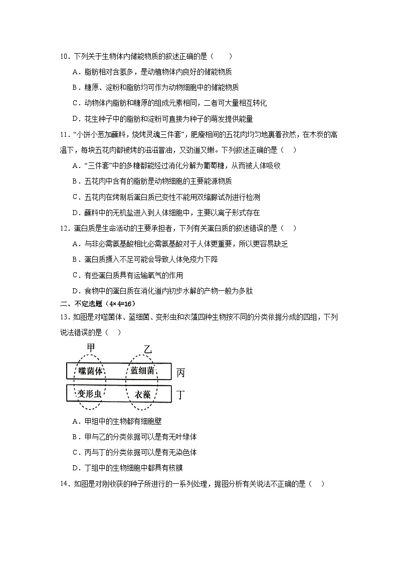 湖南省邵阳市第二中学2024-2025学年高一上学期第一次月考生物试题03