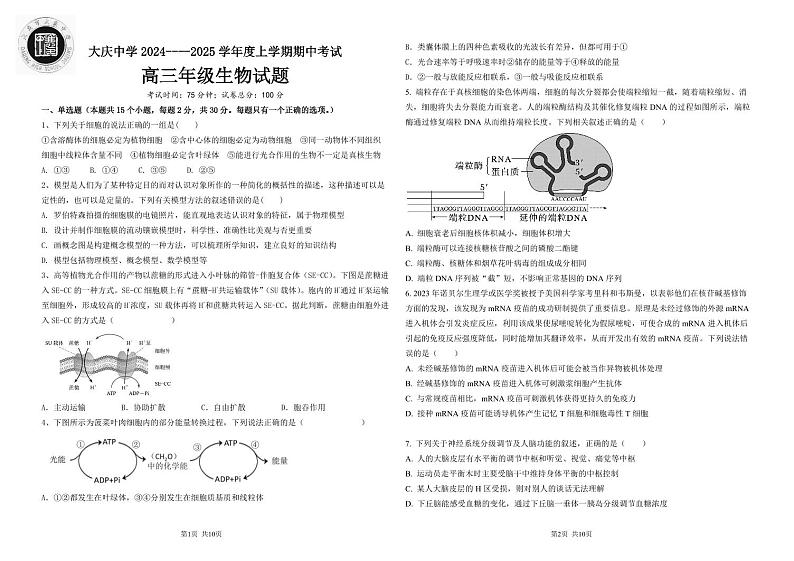 黑龙江省大庆市大庆中学2024-2025学年高三上学期10月期中考试生物试题01