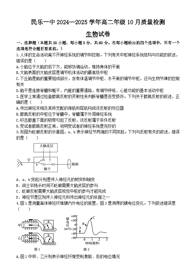 甘肃省民乐县第一中学2024-2025学年高二上学期10月质量检测生物试卷第1页