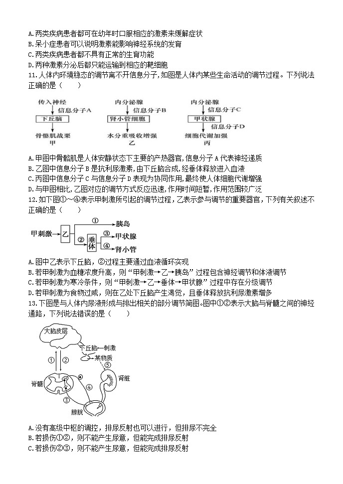 甘肃省民乐县第一中学2024-2025学年高二上学期10月质量检测生物试卷第3页