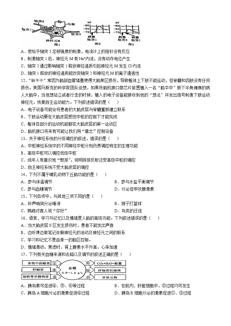 天津市第四十七中学2024-2025学年高二上学期第一次月考生物试卷(无答案)第3页