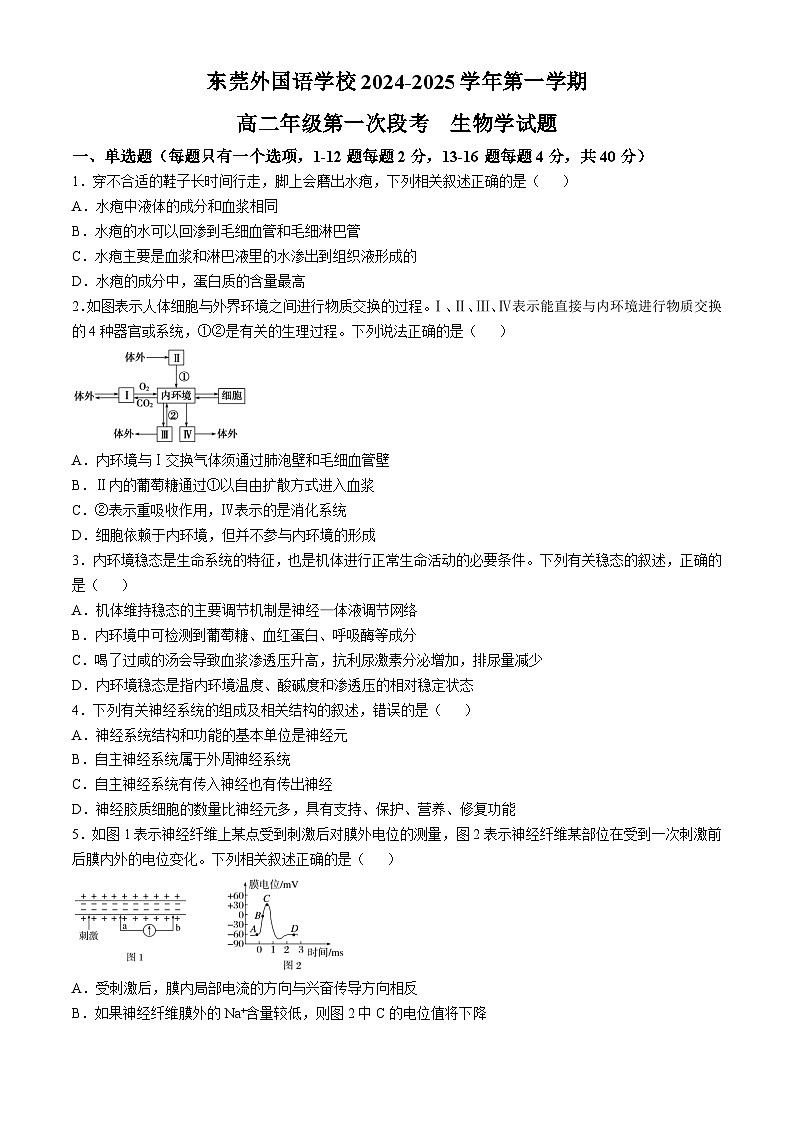 广东省东莞市东莞五校联考2024-2025学年高二上学期10月月考生物试题第1页